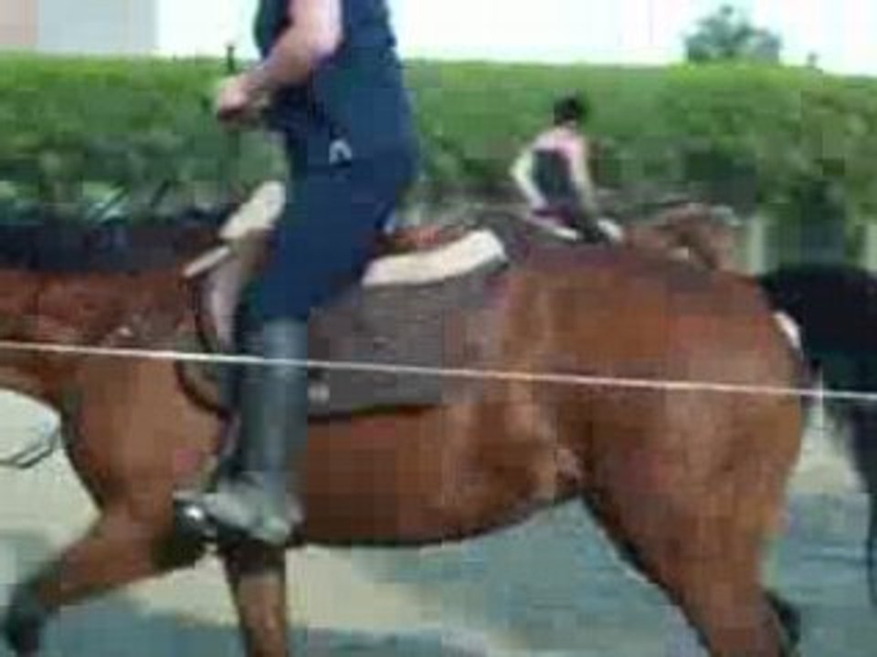 12 mai 2008 orgette sur le mur 003