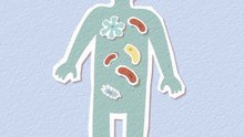 Your Immune System Is Like a Police Force! 🦠🛡️