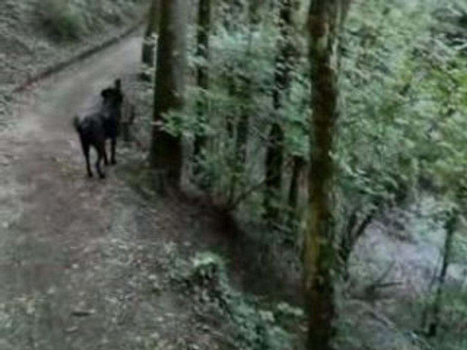 zia qui  court dans les falaises