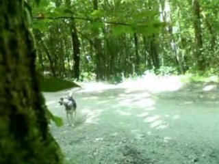 Partie de cache cache