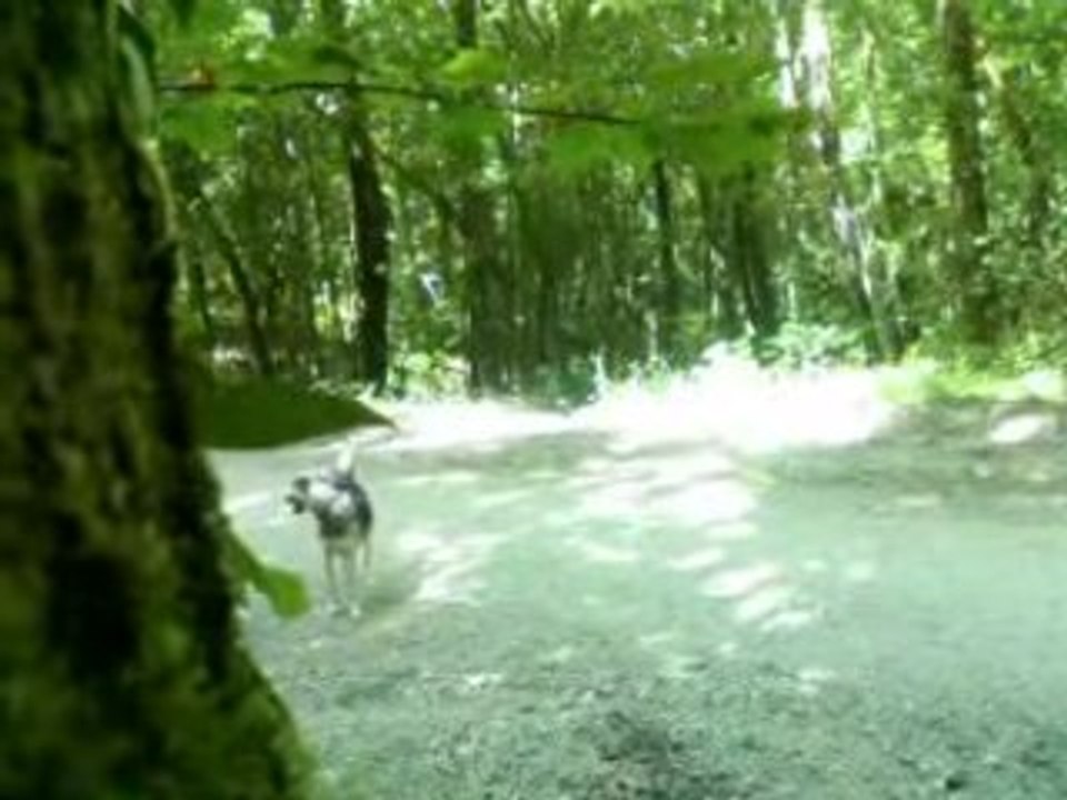Partie de cache cache