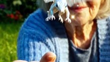 🐉🤍 A White Dragon Tries to Take His First Flight! ✨
