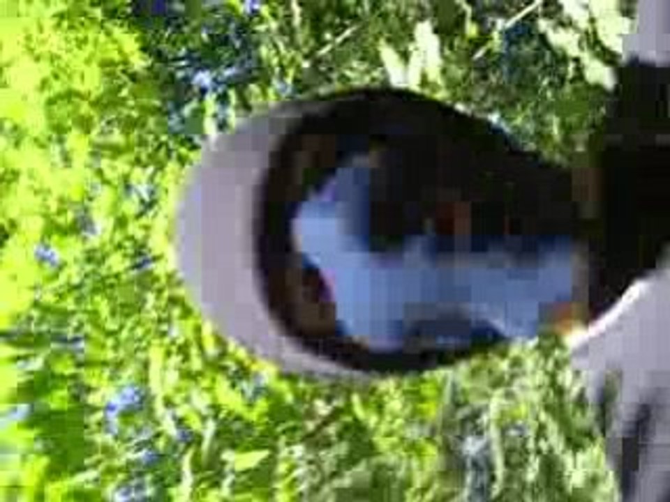 moi et axou
