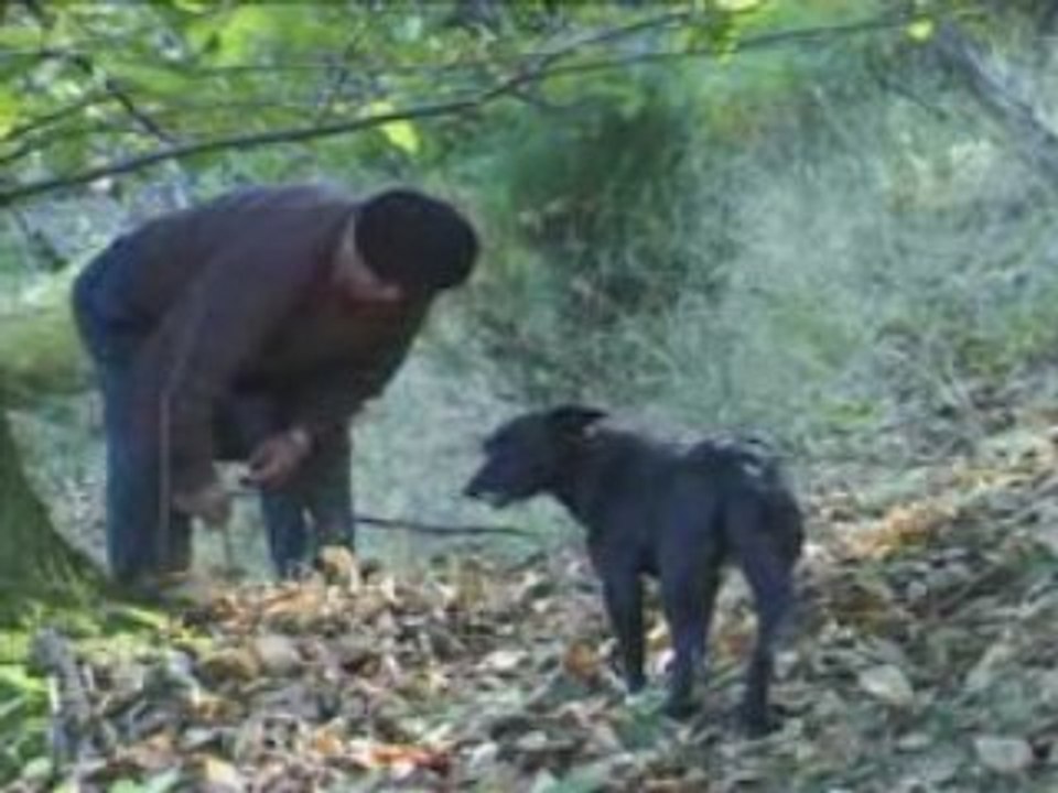 Veillée et châtaignes au coin du feu à Ayssènes
