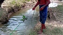 Oye ye Dekh