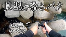漁港テトラの穴釣りで良型カサゴが落とした瞬間に食う穴