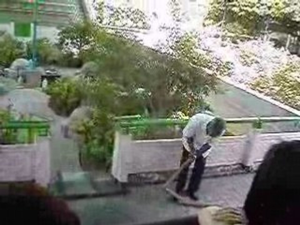 thaïlandais attrapant un cobra