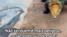 Não sei quem é mais perigoso, os lacostes ou o homem!