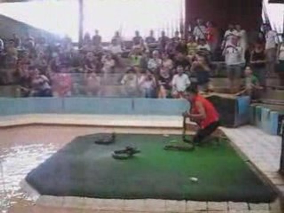 Snakeman et les trois serpents