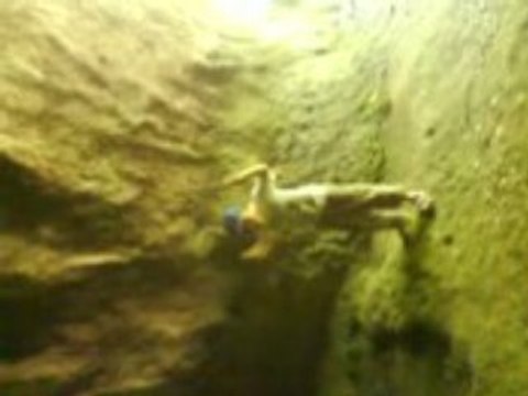 Thomas l'homme de cro magnon