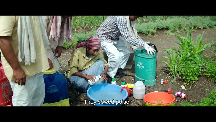 THE INDIA STORY