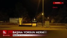 Mardin'de parkta oturan kadının başına yorgun mermi isabet etti