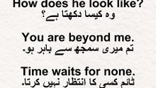 Daily Use English Sentences With Urdu Translation | Short English Sentences With Urdu Translation | English Speaking Practice for Beginners #kidsonlinelearningplatform #spokenenglish #sentencestructure #spokenenglish #englishspeaking #englishlanguage