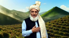 طائف کا دردناک واقعہ اور رحمت للعالمین ﷺ کا بے مثال صبر
