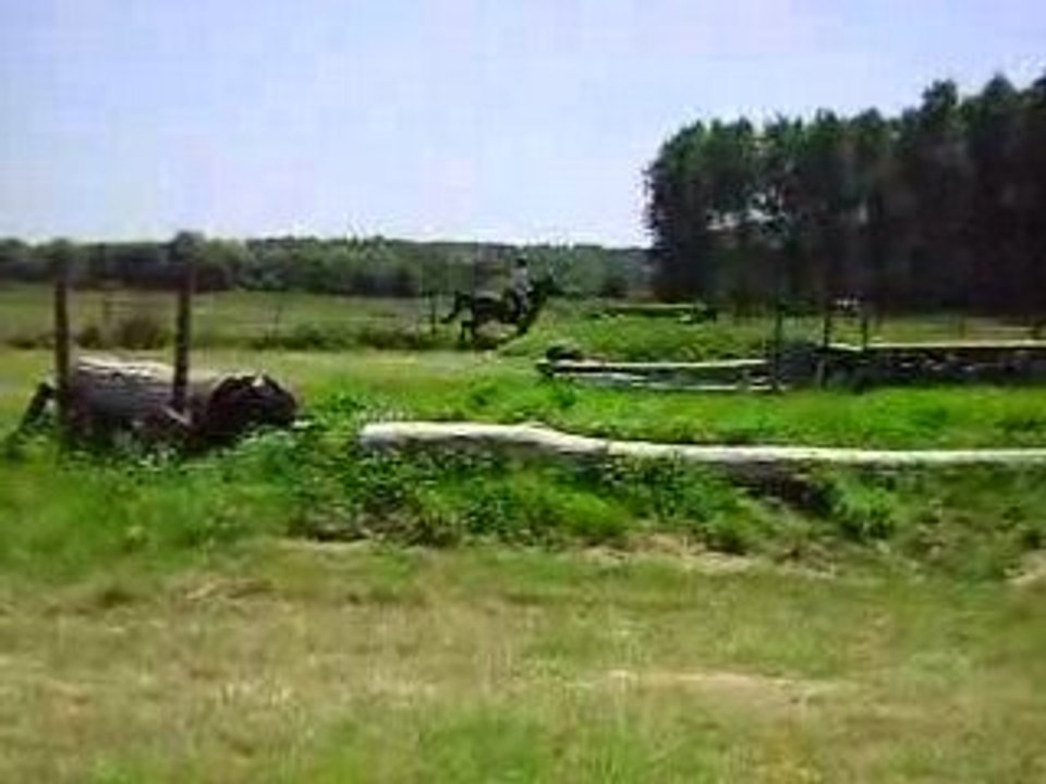 MOV08931