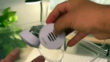 Mantén tu Hogar Libre de Plagas sin Químicos 🏡✨ | Trucos Naturales | Erika Deals Hub