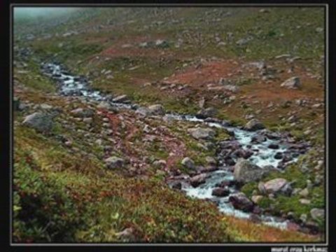 -çamlıhemşin- yaylalar-Birol topaloğlu dereler-KAVRUN.TR.GG