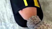 Pet Hair Removal Mitt 😲