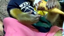01a3144b3d864b138d73acffd52e8f31