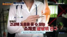 손상된 연골을 치유해 준다?! 관절 건강 책임지는 DEM