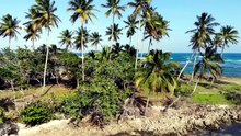 115 Log Achanak Hawa Mein Ghaib! The Lost Colony Of Roanoke Mystery