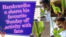 Harshvardhan Rane shares glimpse of his relaxing Sunday with a potted plant
