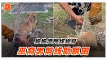 狗狗被网线缠住 巫裔男出手相救获赞