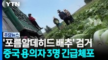 '포름알데히드 배추' 용의자 3명 검거...중국, 이례적 신속 대응 이유는? / YTN