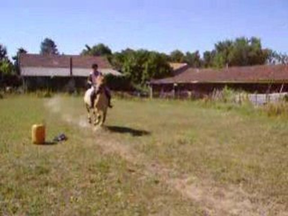 Moi roussette sur 4 pneus