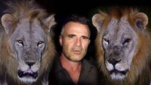 Kevin Richardson Safari Walk: Wild Lions, Leopard and Elephants in Zambia