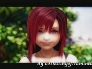 Kingdom hearts NaminéXRoxas AMV