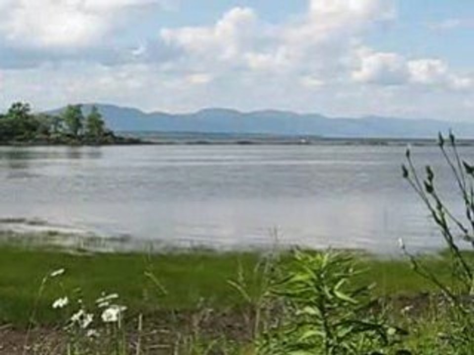 MVI_4284