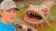 Encontré peces letales en una alberca abandonada…