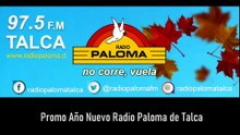 Promo Año Nuevo 2022 en Radio Paloma de Talca