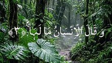 Islam s power