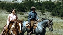 Arrancame La Vida (2008)