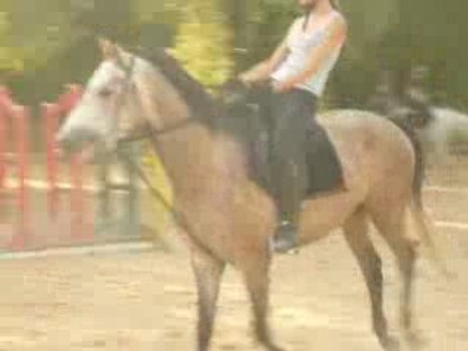 Cession a la jambe au galop