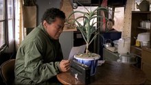 Address Unknown (2001) Korean English Movie