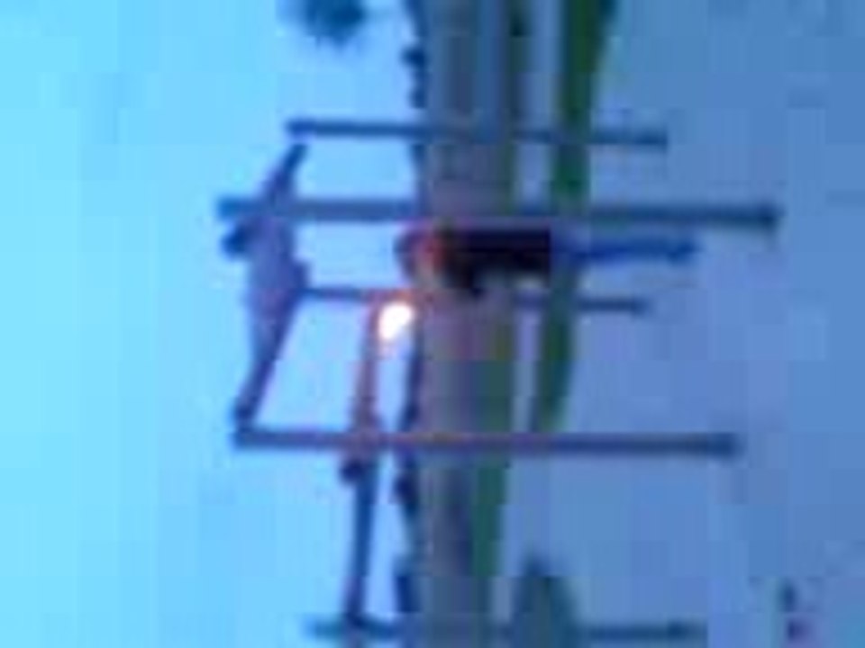 Orel flamme