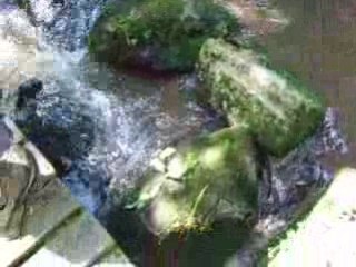 Rando Allier 2008 IMG_0449