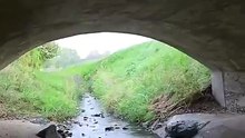 The Shocking Reason This Dog Refused to Leave a Swiss Tunnel