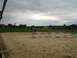 saut d obstacle avec lara