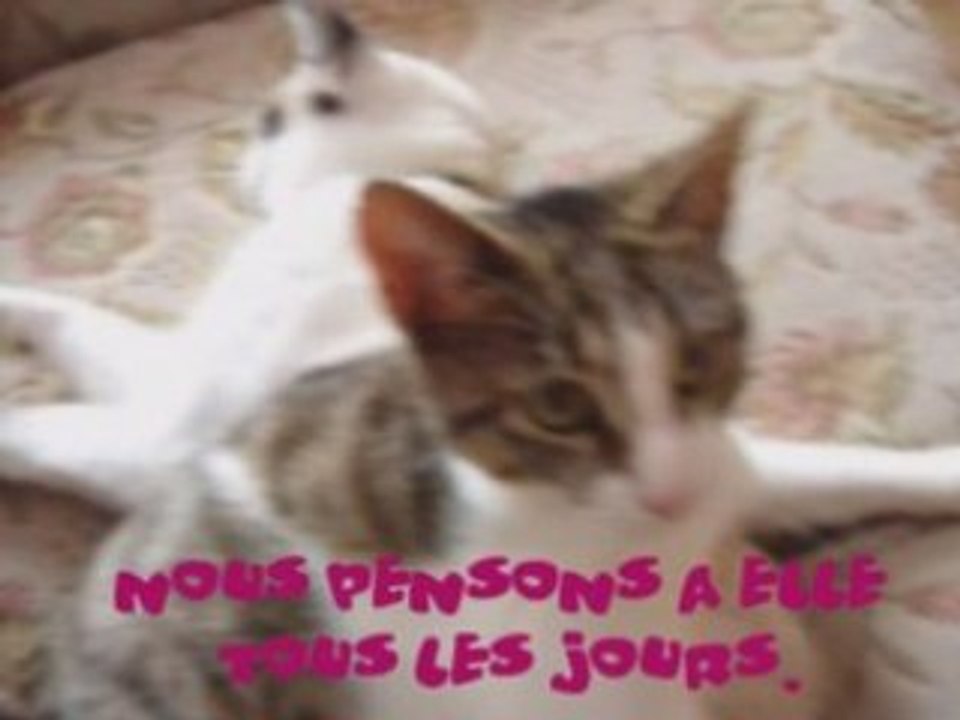 Hommage a Caline par Boodiney.