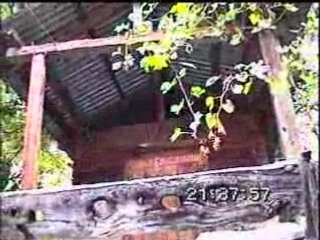 Değirmen bilgin (video kemal güven )