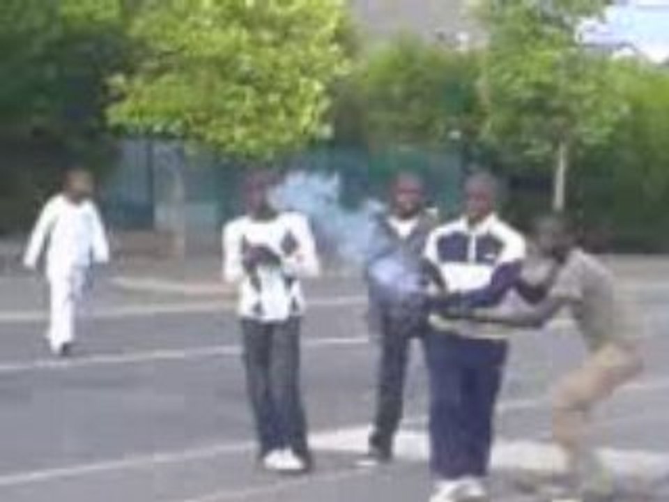 ma tesse Les bleuets vlb