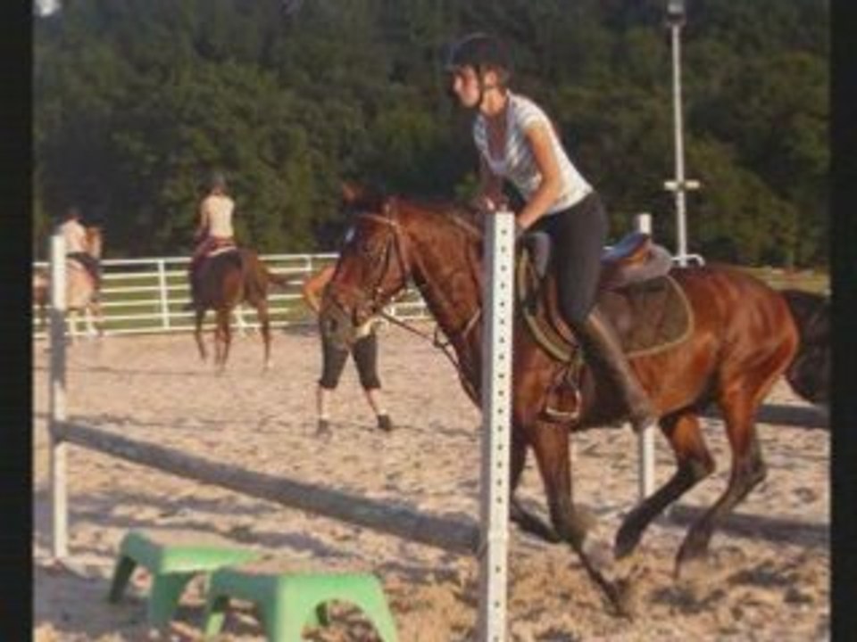 Saut de puces ac poney