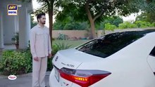 Sher Episode 30 | Danish Taimoor | Sarah Khan | AUGUST 2025 | ARY Digital Drama