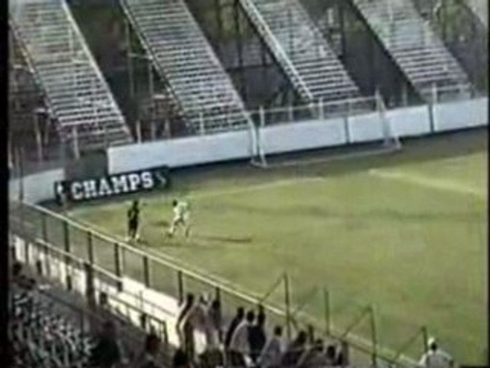 RAFAEL CASTORI MEIA  ATACANTE HABILIDOSO (SENINHA)