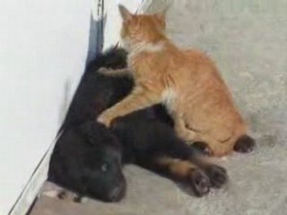 Un petit massage