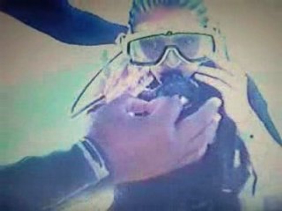 Vidéo053
